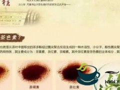 茶色素是怎么被发现了的，它又有什么功效