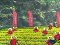 2020首届武夷山“喊山祭茶”文化季正式开启