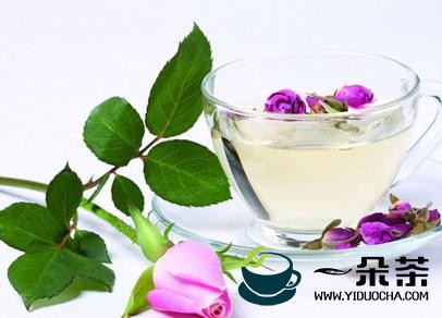 什么季节喝什么茶？四季喝什么茶？春夏交接之季喝什么茶