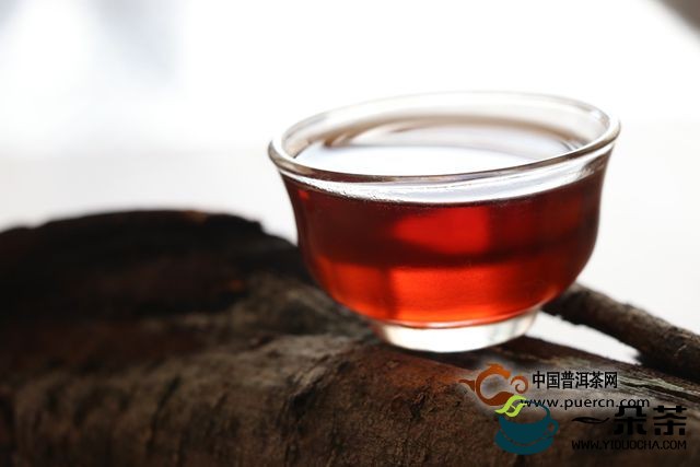 酶促反应与普洱茶的制作