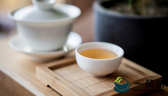 学茶的理由有千万 你为什么去学茶？