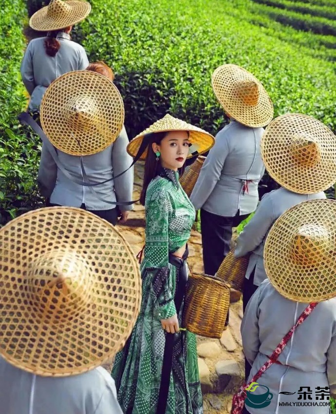 顾佳和小罐茶，那曲C大调的童瑶