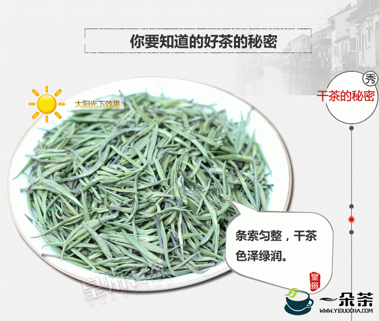 制作午子翠柏茶的工序