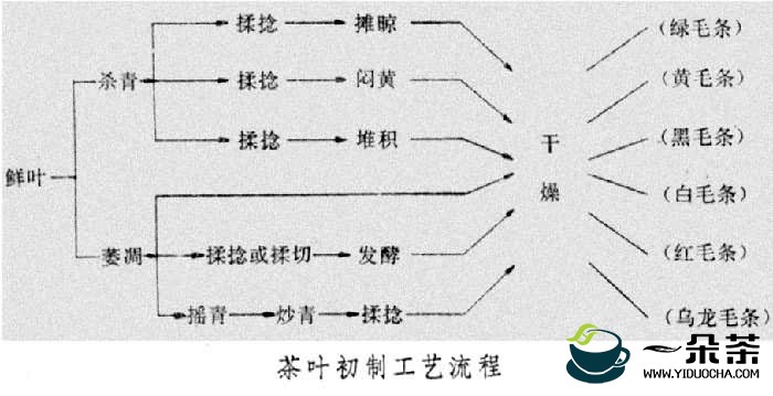 茶叶加工过程