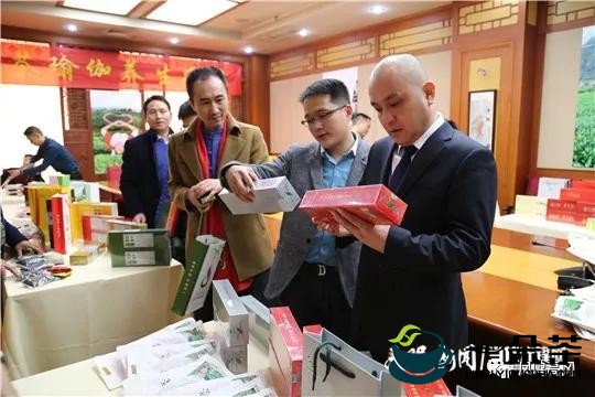 贵州省第一！凤冈茶出口占贵州省“半壁江山” 