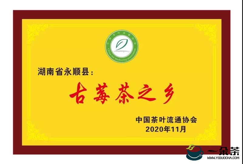 中国茶叶流通协会授予湖南省永顺县“古莓茶之乡”称号