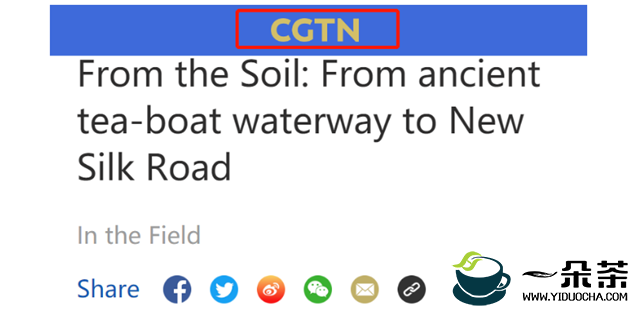 CGTN对六堡茶古道寻迹进行报导：六堡茶走上国际舞台 