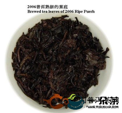 中国普洱茶网教你正确的选择普洱茶