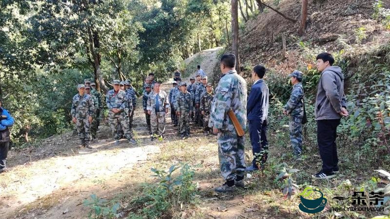 追逐暴利终将受罚，毁林种茶必须付出代价—勐海县毁林种茶违法人员的忏悔