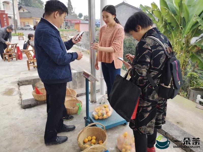 谭正义：初心数十载 茶园飘香