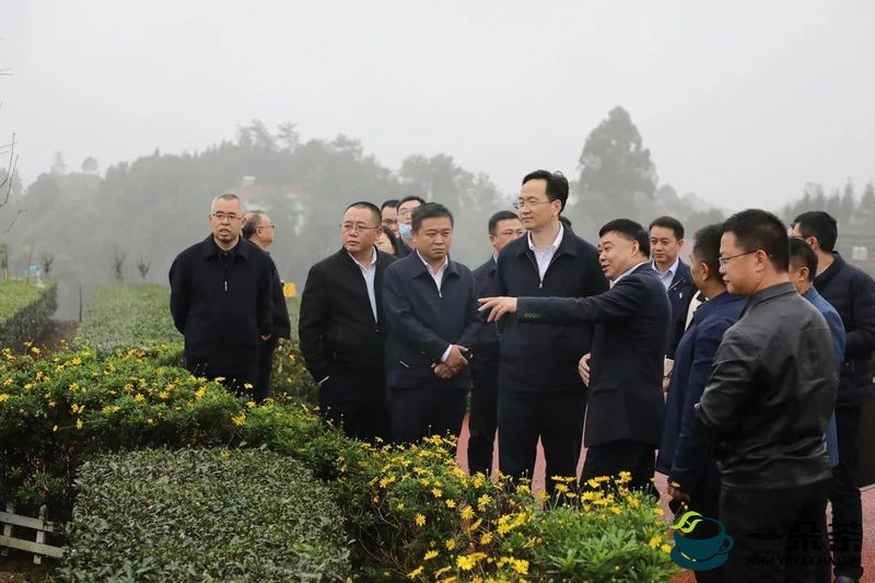 做好宜宾“茶文章” 打造乡村振兴的川茶样板 宜宾市领导调研川茶集团