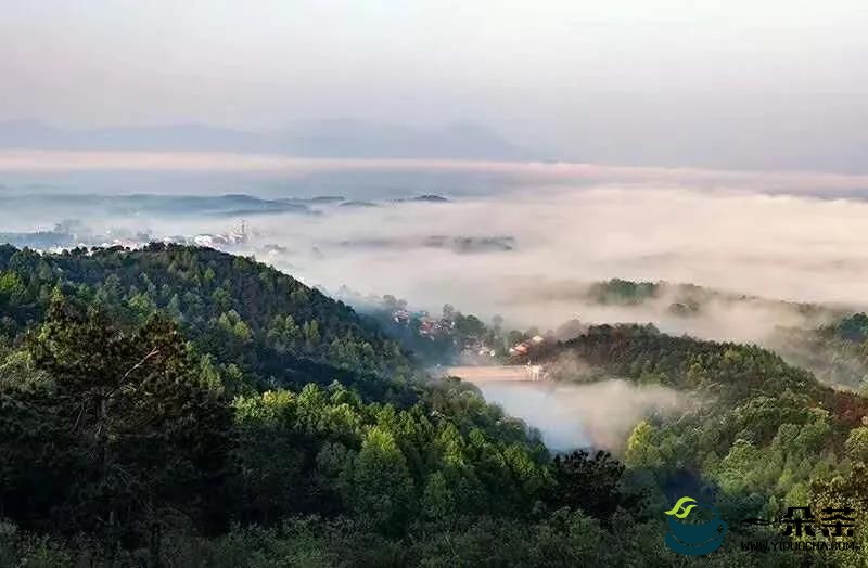 湖北省政协召开茶产业链支持政策协商会