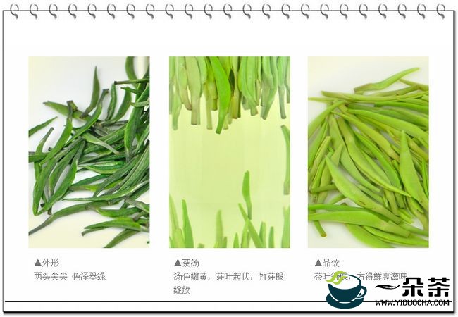 蒸青绿茶的冲泡方法(蒸青绿茶)