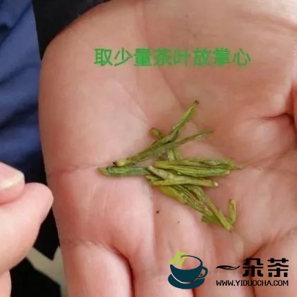 鲁成银 ：新茶的鉴别与贮藏方法