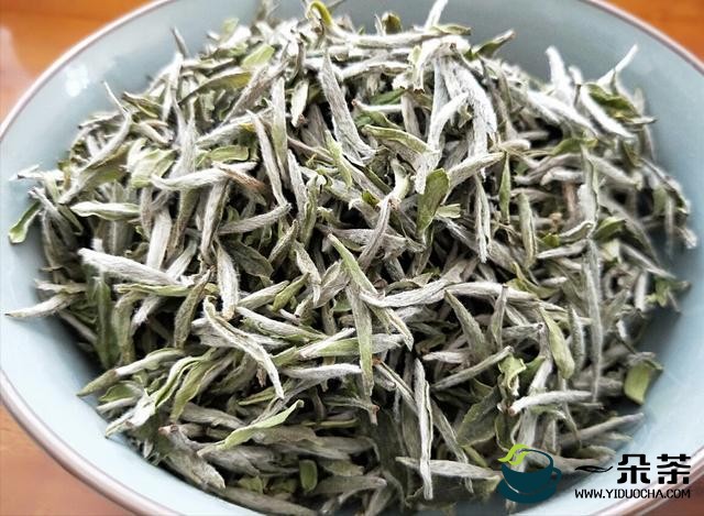 茅山白茶属于什么茶 茅山白茶怎么泡好喝