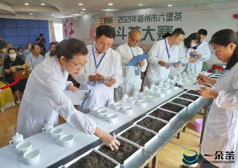 闻茶识香，品茗叙雅，2022年梧州市六堡茶民间斗茶大赛，即将盛启！