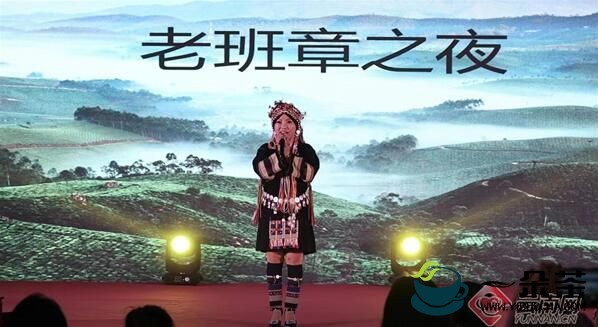 一场音乐与普洱茶的邂逅 郭燕妮《梦回茶马》音乐会在昆上演