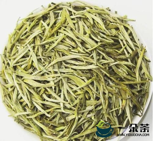 太白顶芽是什么茶(太白顶芽是什么茶树)