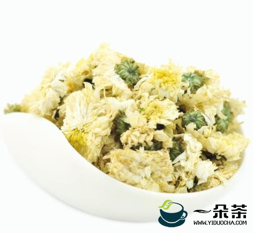 贡菊的功效与作用(贡菊的功效与作用禁忌)