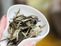 怎样把白茶存成“宝贝”呢？|老白茶保存(老白茶如何储存)