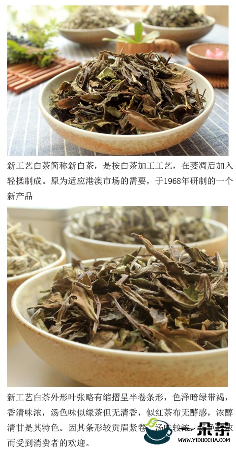 新工艺白茶制法|白茶制作工艺(白茶精制工艺)