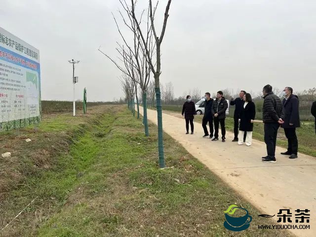 地方茶事，仪征市绿杨春茶地理标志保护工程项目顺利通过验收