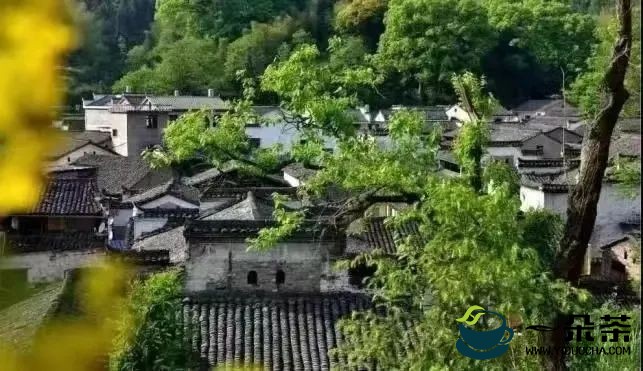 千年茶乡 茶香千年： 浮梁茶助力第五季最美茶艺师全国总决赛