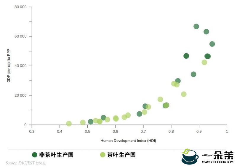 联合国粮农组织：《国际茶叶市场：现状、前景及挑战》(上篇)