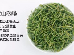 黄山毛峰简介(黄山毛峰属于什么茶)