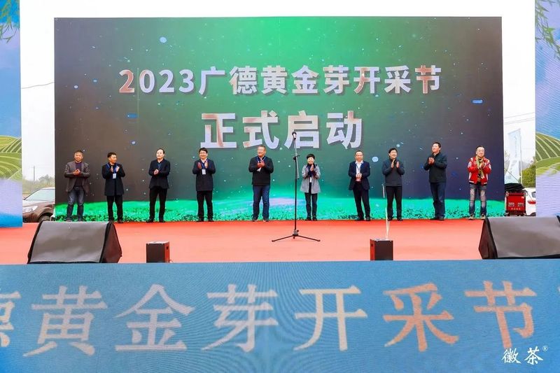 2023广德黄金芽开采节隆重举行